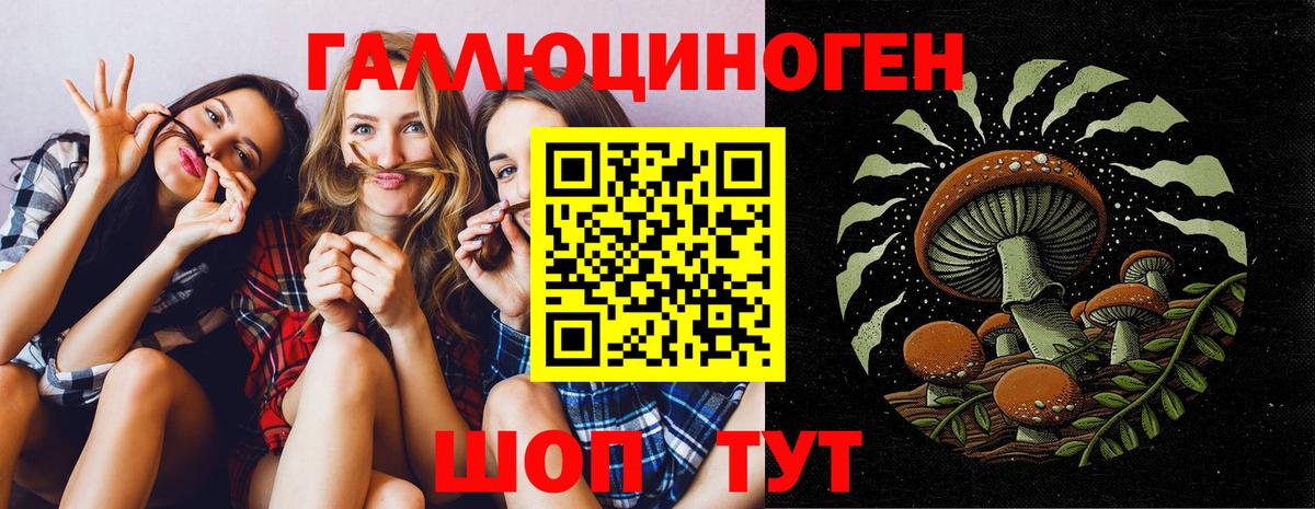 Галлюциногенные грибы MAGIC MUSHROOMS Назрань
