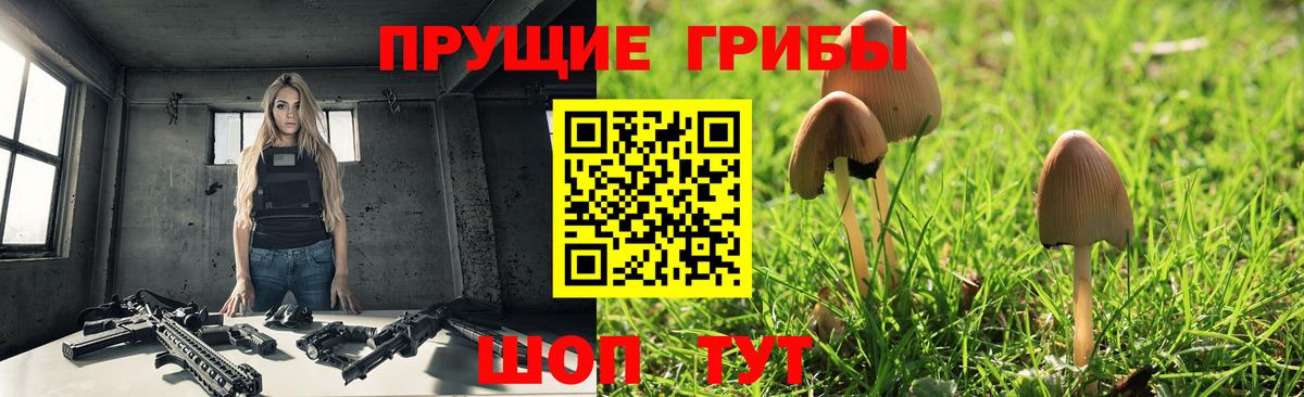 Галлюциногенные грибы мицелий  Вход с VPN  Назрань  Псилоцибиновые грибы мухоморы 